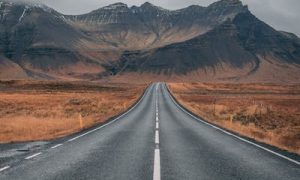 Organizzazione ed evoluzione